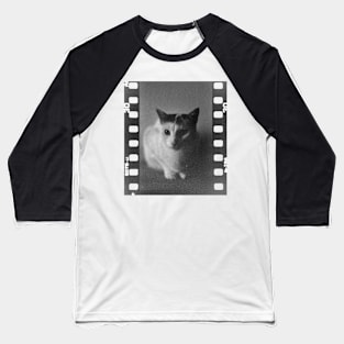 Analog Cat Baseball T-Shirt